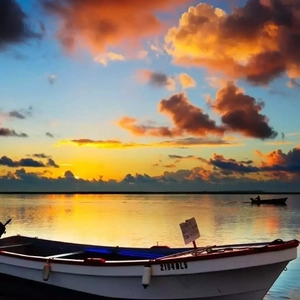 av无码aV天天aV天天爽
