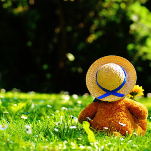 av无码aV天天aV天天爽
